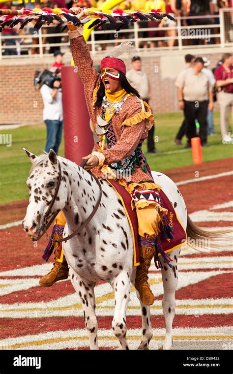 fsu mascot|florida state university mascot pictures.